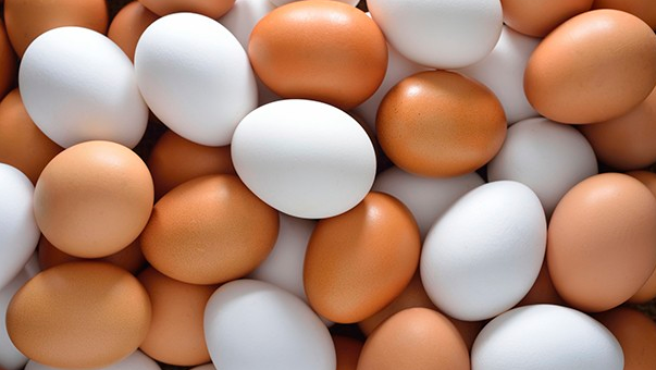 Chicken Eggs